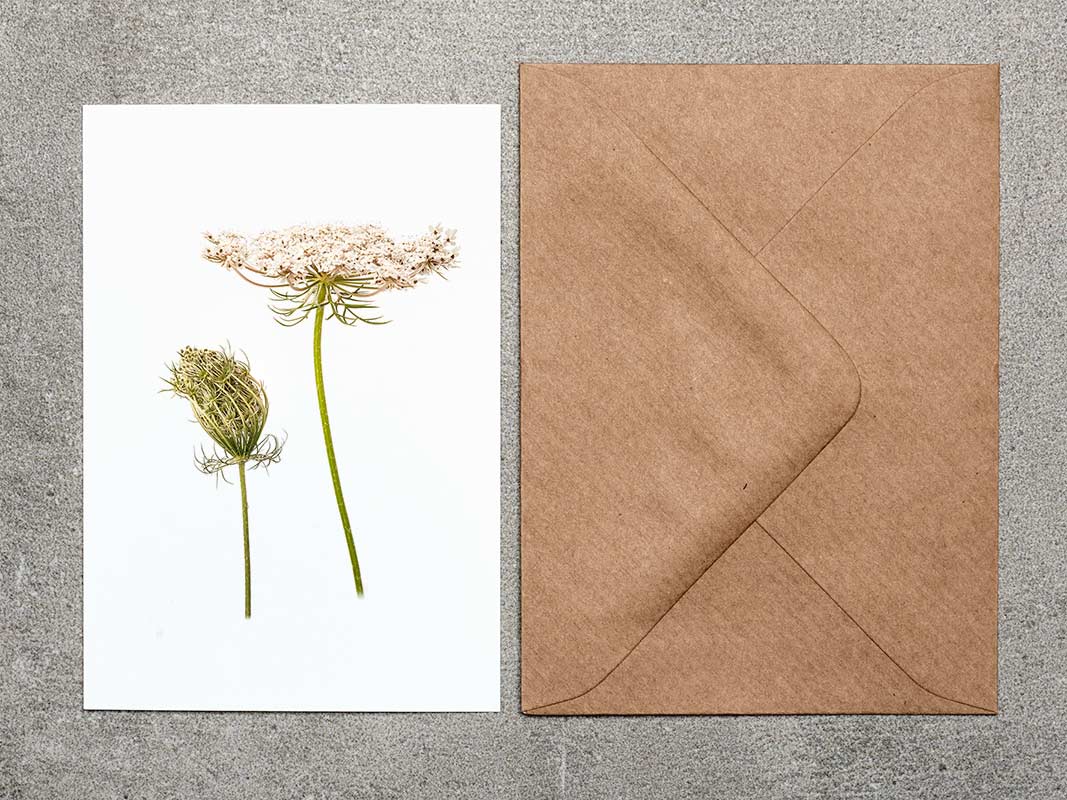A7 Geschenkkarte mit Umschlag (Simply Flowers)