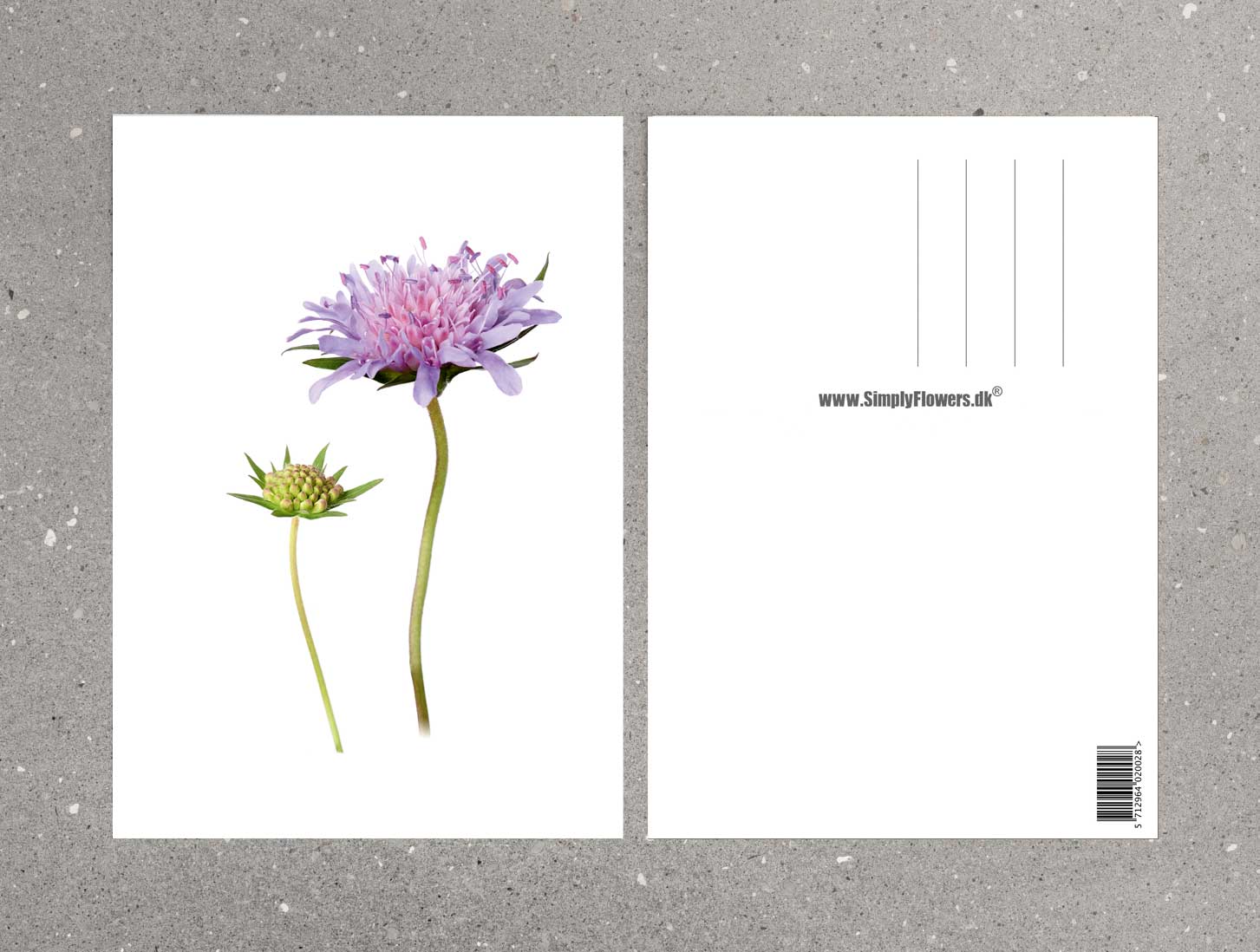 A5 Postkarte (Simply Flowers)