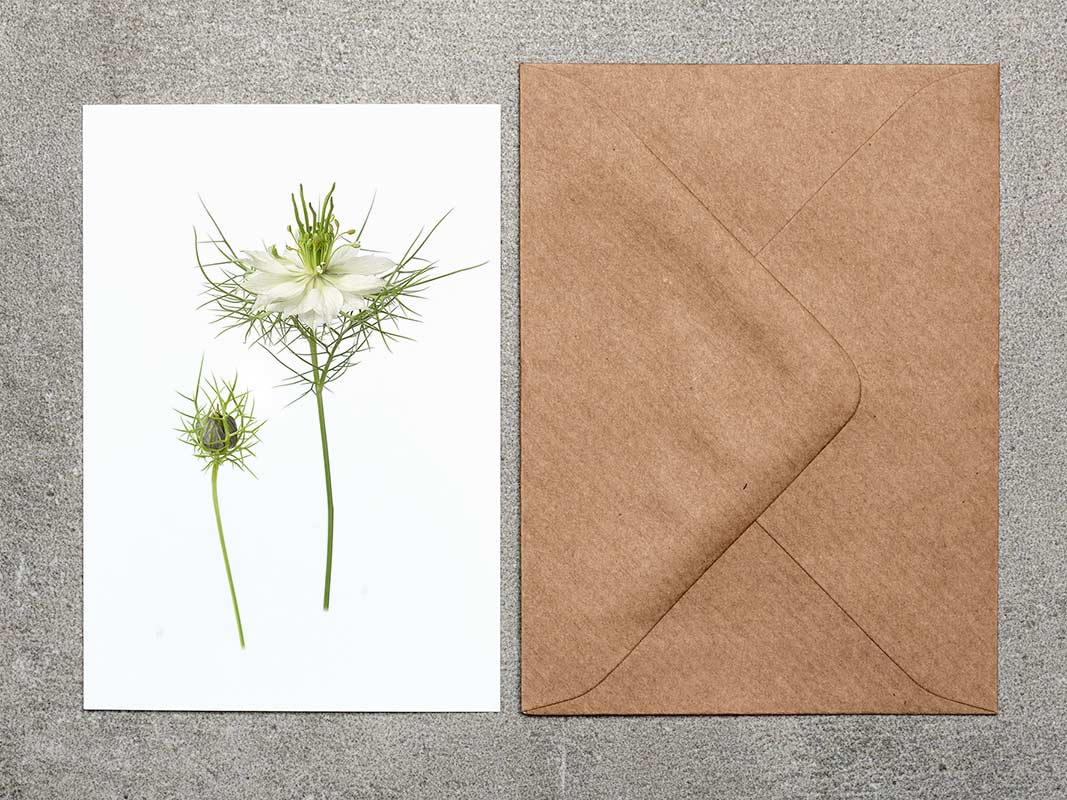 A7 Geschenkkarte mit Umschlag (Simply Flowers)