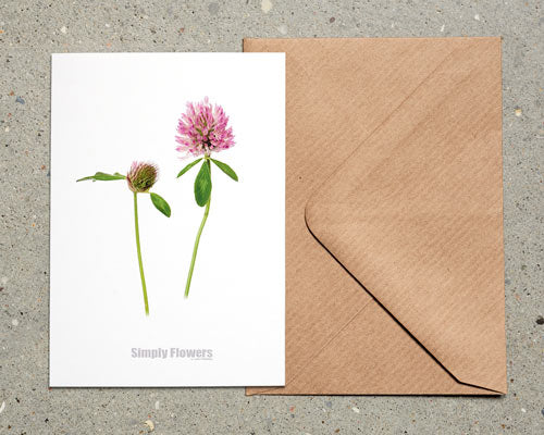 A6 Doppelkarte mit Umschlag (Simply Flowers)